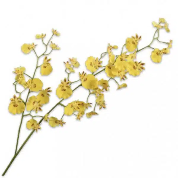 Orchidee Oncidium | 78 cm | geel