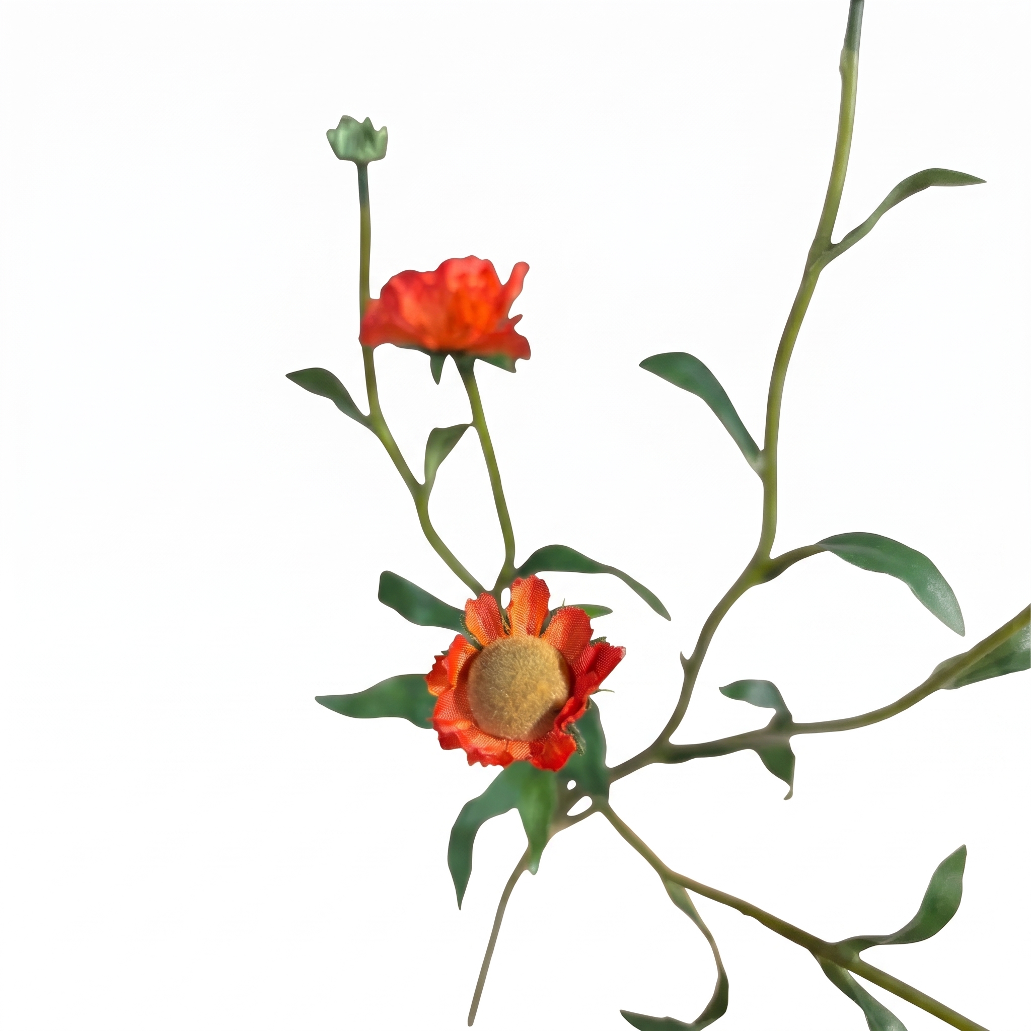 Close-up van het pluizige geel-groene bloemhart en de bladeren van de oranje kunst geum