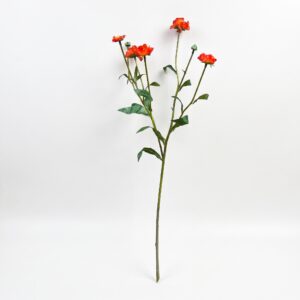 Volledige oranje kunsttak nagelkruid met meerdere bloemen en groene stelen op witte achtergrond