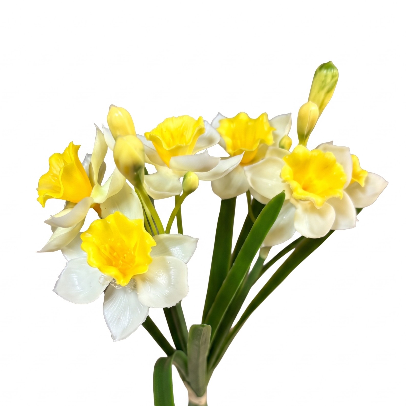 Close-up bovenaanzicht van de kunsttak narcis met open bloemen en jonge bloemknoppen.