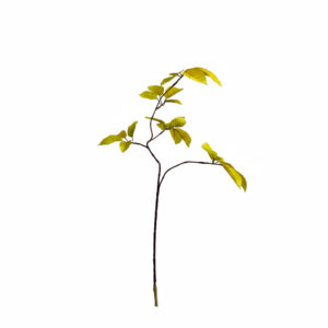 Bladtak | 74 cm | geel