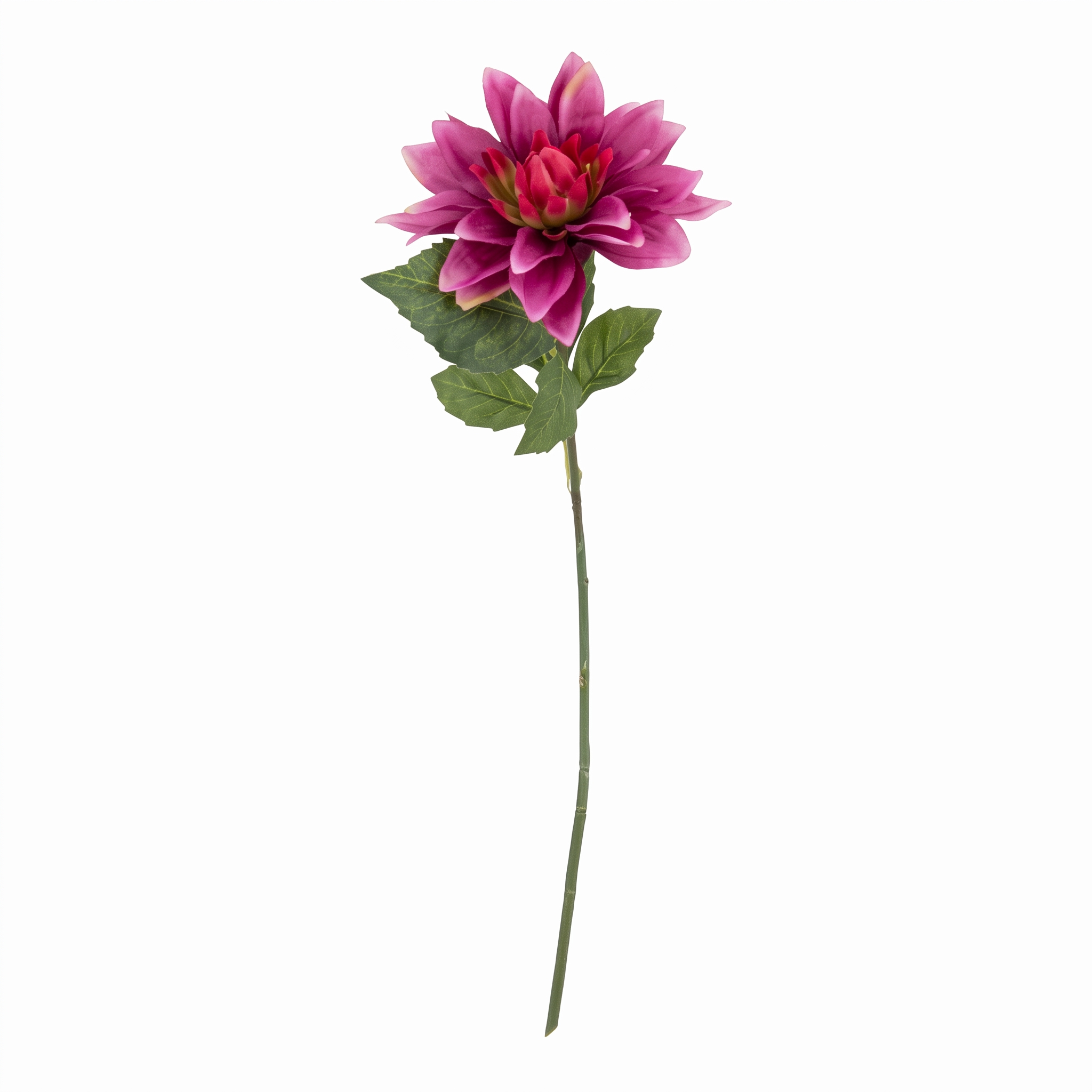 Kunstbloem Dahlia in fuchsia roze van 55 cm lang met groene bladeren op een schone witte achtergrond.