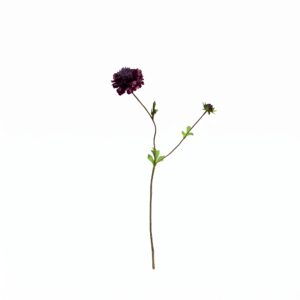 Volledig overzicht van een 68 centimeter lange kunsttak van een donkerpaarse scabiosa (druifkruid) op een witte achtergrond.