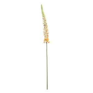 Gedetailleerde zalmoranje kunstbloem Eremurus stengel (Naald van Cleopatra) van 112 centimeter hoog, vrijstaand op een witte achtergrond.