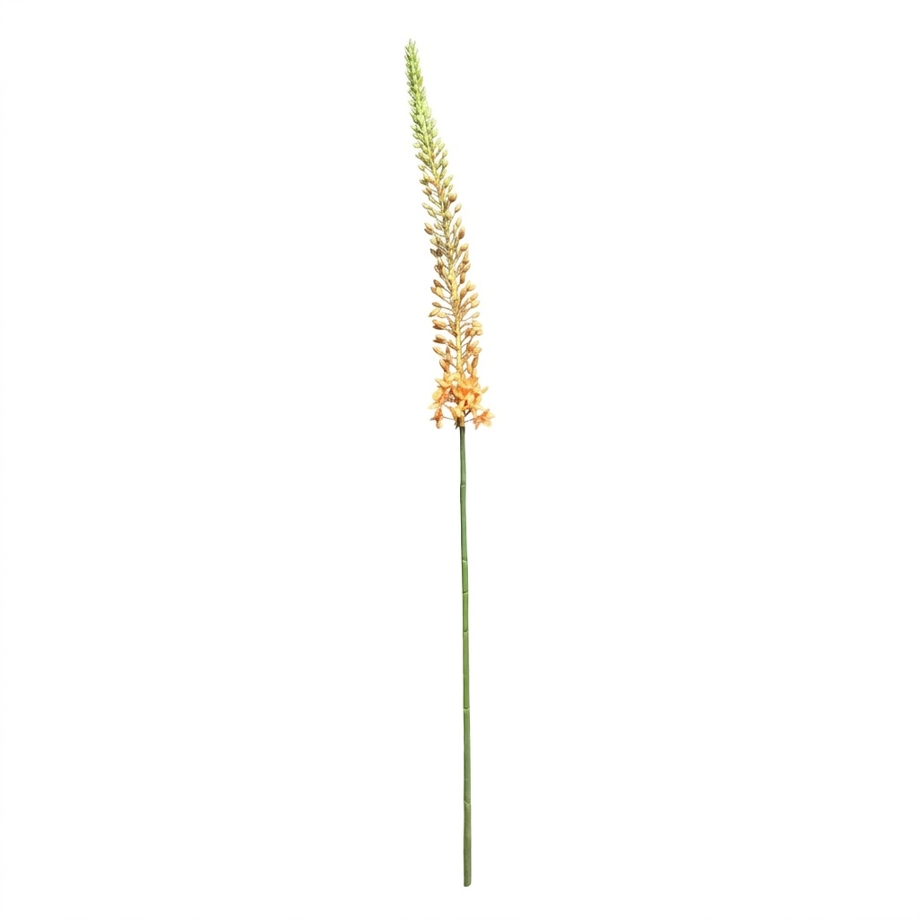 Gedetailleerde zalmoranje kunstbloem Eremurus stengel (Naald van Cleopatra) van 112 centimeter hoog, vrijstaand op een witte achtergrond.
