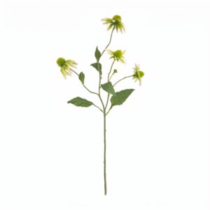 Een kunsttak (witte Zonnehoed) met meerdere crèmewitte bloemen, een bloemknop en groene bladeren. Studiofoto op een witte achtergrond.