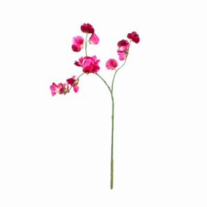 Lathyrus kunstbloem fuchsia roze 77 cm op witte achtergrond.
