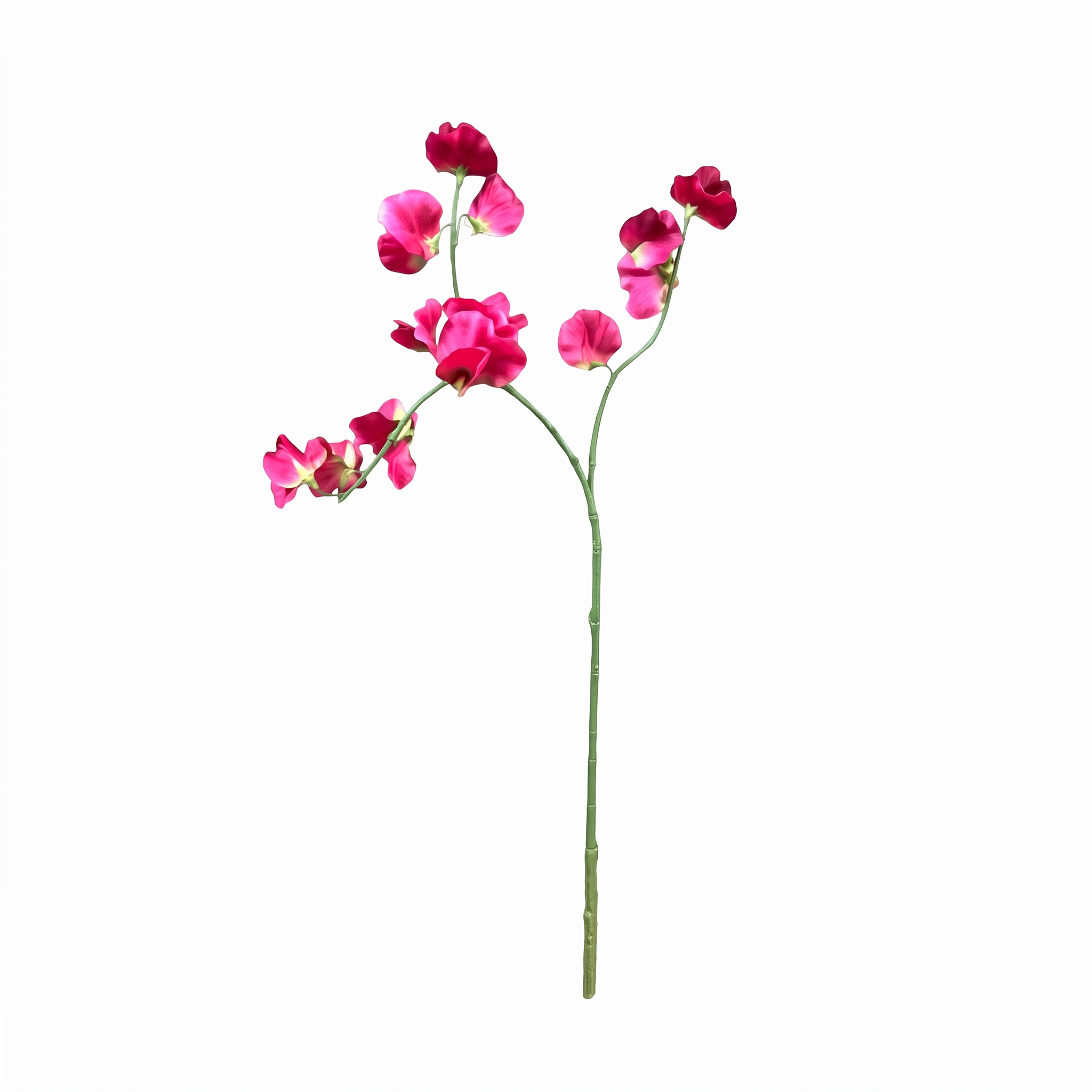 Lathyrus kunstbloem fuchsia roze 77 cm op witte achtergrond.