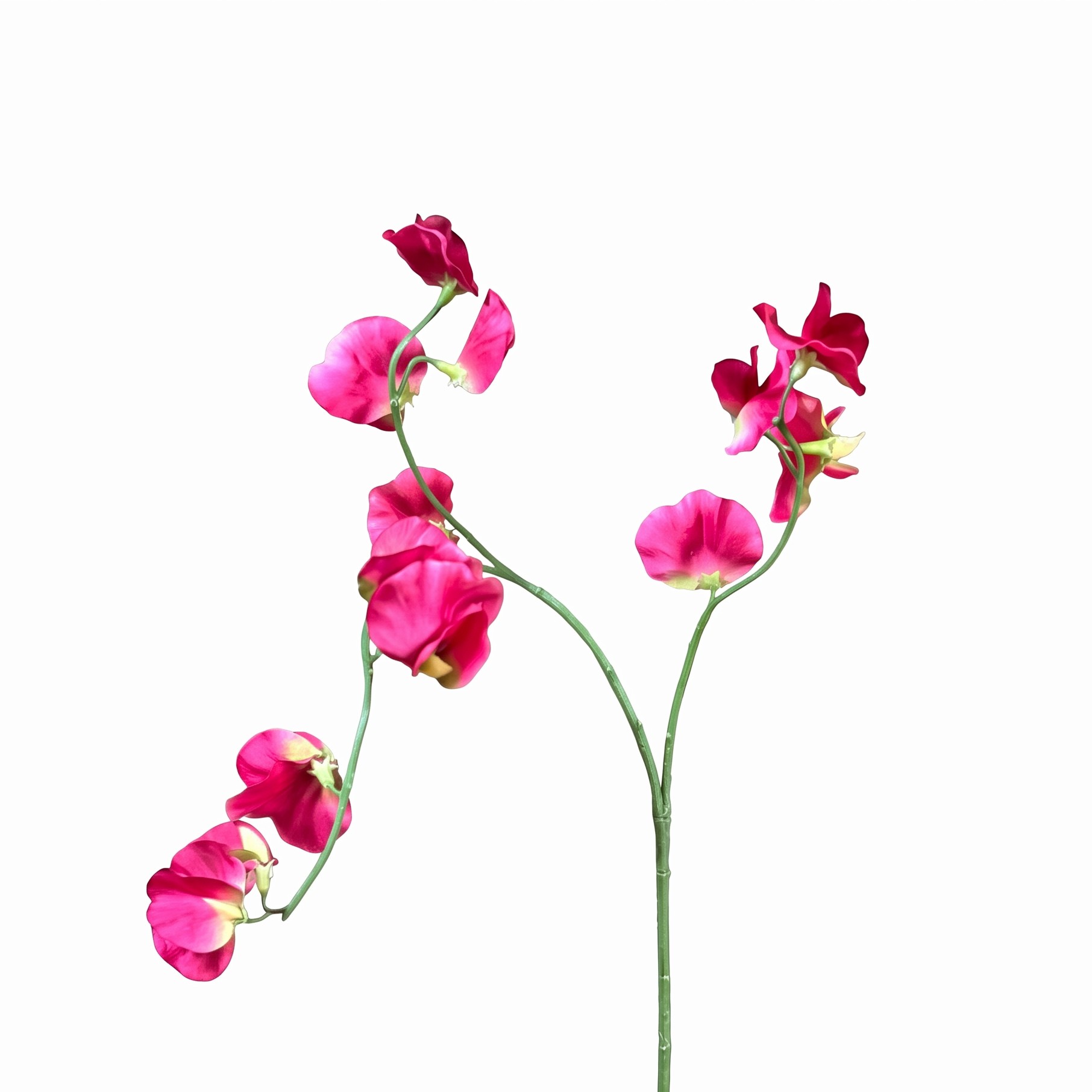 Zijaanzicht van fuchsia roze Lathyrus kunsttak met groene steel en vertakkingen.