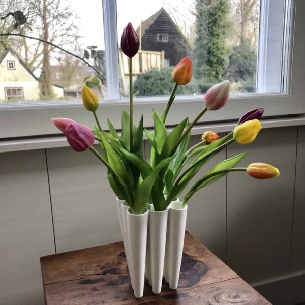 lowerDutchess tulips 3x3 3
