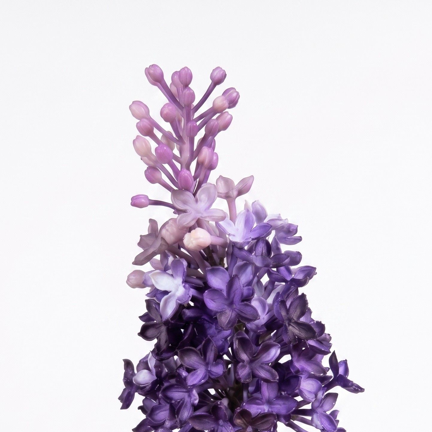 Een compleet kunstbloemstuk in een grijze, gestreepte vaas met paarse seringen, roze anemonen en varen-achtige bladeren op een witte achtergrond.