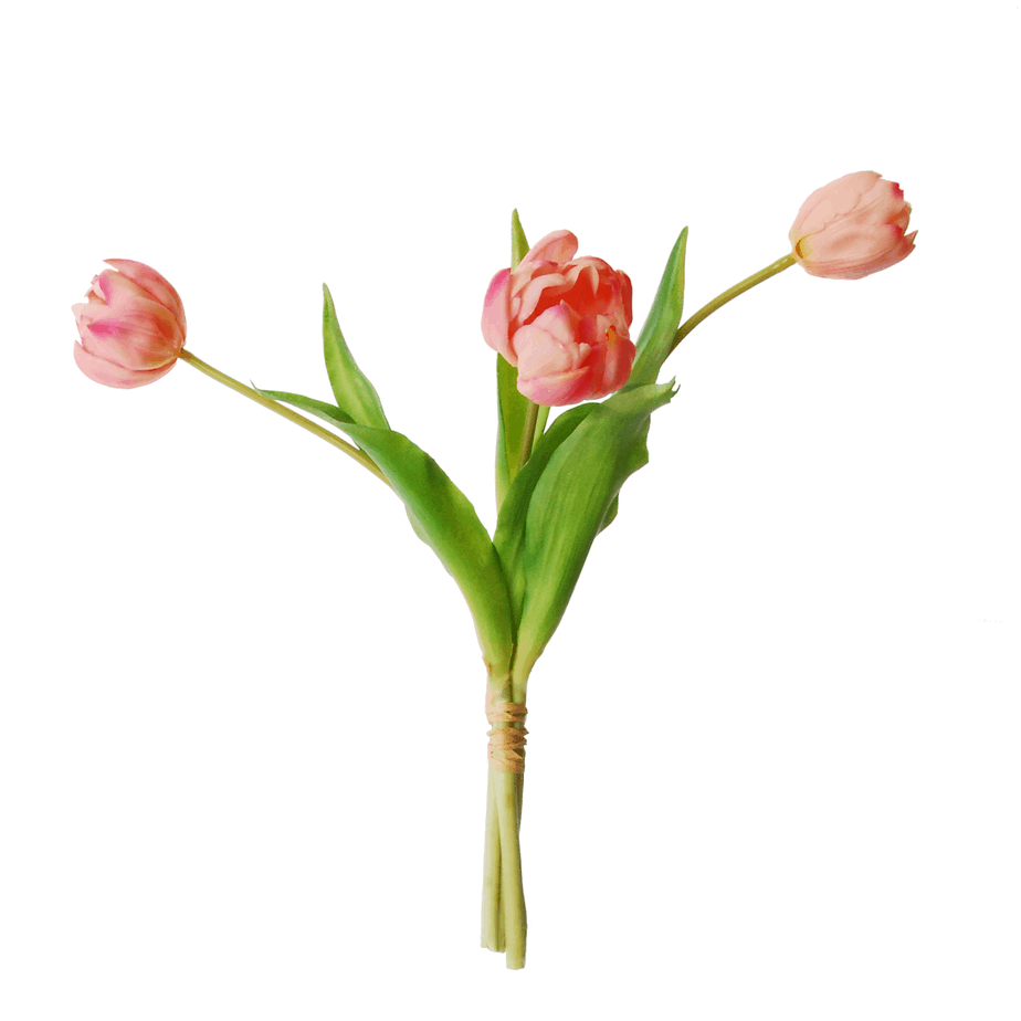pink peony tulips e1522138268839