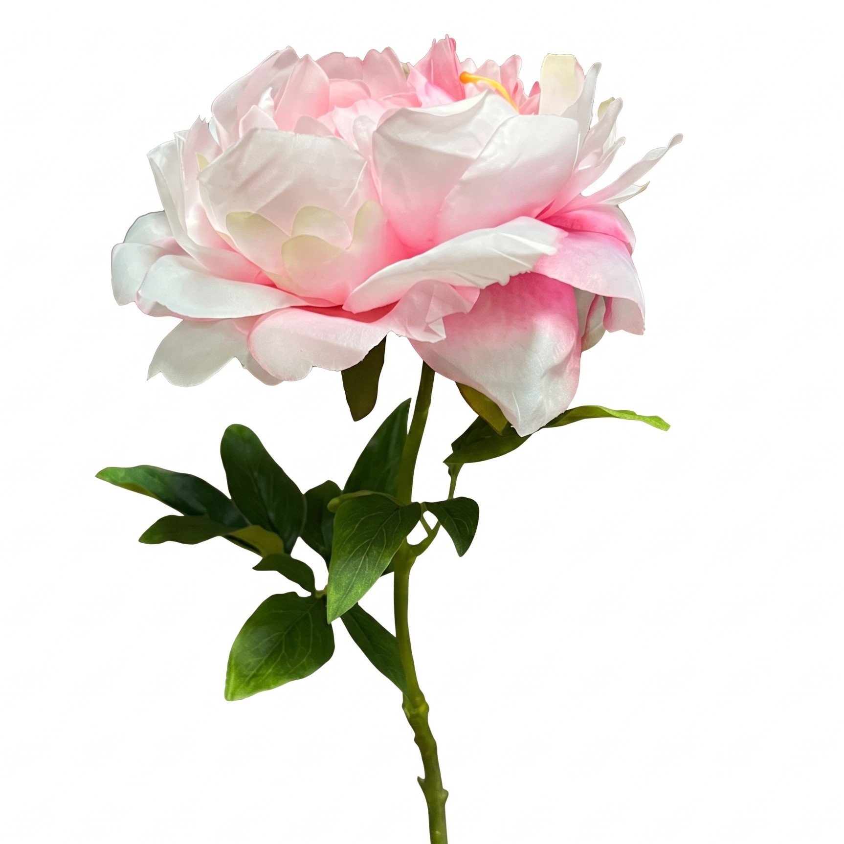 Zijaanzicht van de roze kunst pioenroos met groene bladeren en een gedetailleerde stengel.
