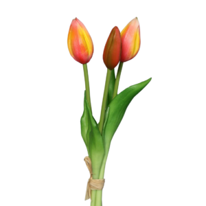 Tulpjes in een bosje van 3 | 24 cm | fuchsia roze